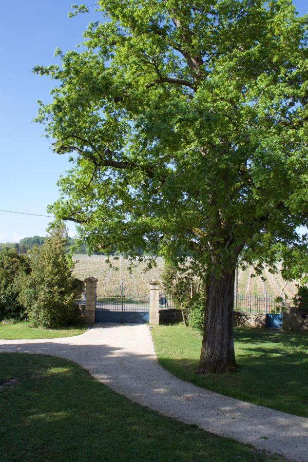 Domaine Cazenave Bed and Breakfast Budos Exterior foto